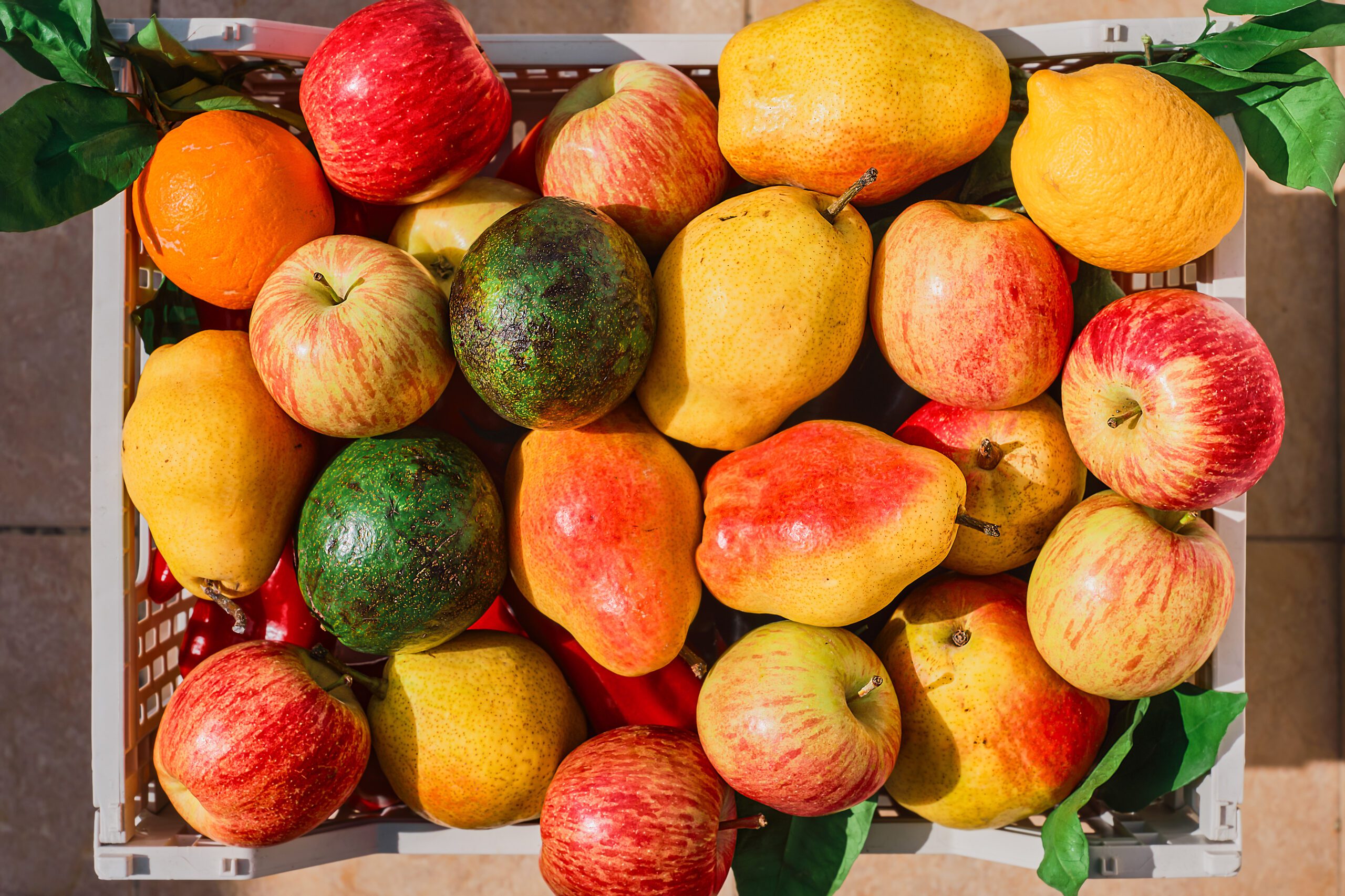 Cesta cheia de frutas frescas variadas, incluindo maçãs, peras, uma laranja e abacate, com folhas verdes anexas, sob luz natural.